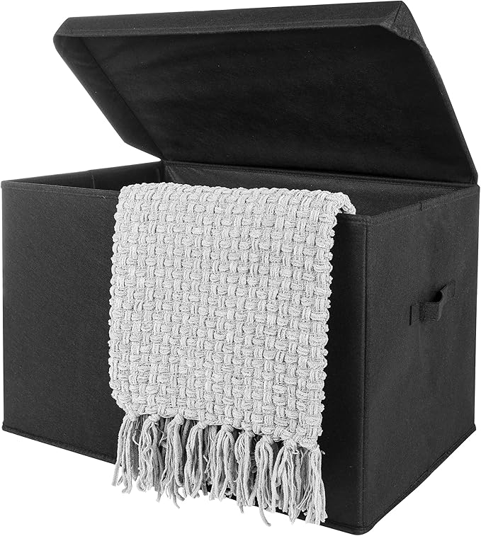 Sammy & Lou Collapsible Felt Soft Toy Box Toy Chest for Toddlers Toy Storage Organizer with Handles and Hinged Lid, 22 x 14.5 x 15 inches, Black